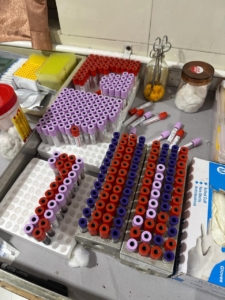 Life is in Your Blood